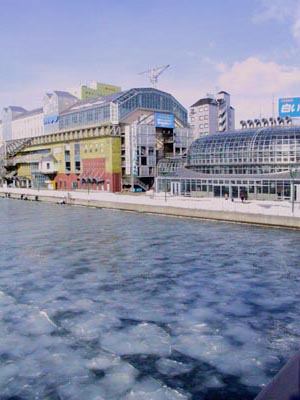 はすの葉氷の2.JPG はすの葉氷の2.JPG